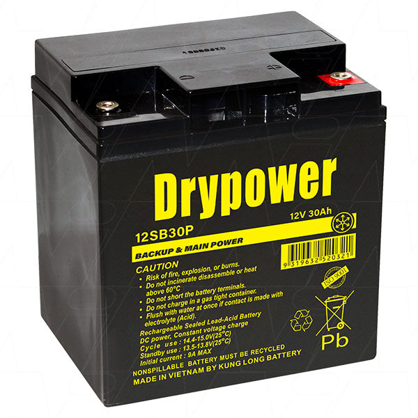 Drypower 12SB30P 12V 30Ah SLA Battery