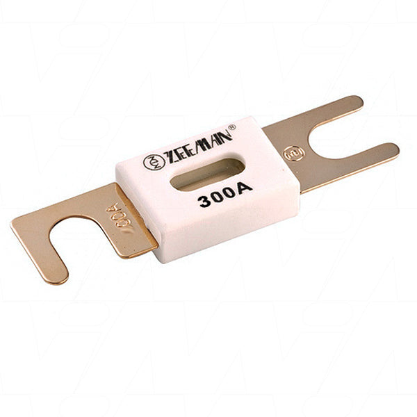 ANL-fuse 300A/80V for 48V products (1 pc)